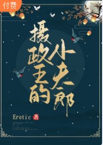 攝政王的小夫郎
