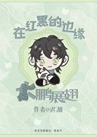 (綜漫同人)在紅黑的邊緣大鵬展翅